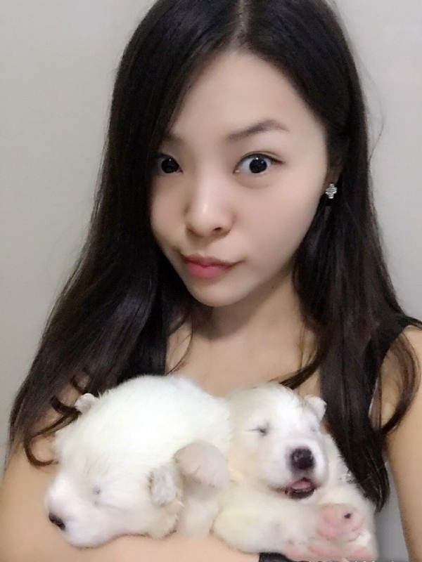 如果可以的第三张照片--潍坊相亲服务中心