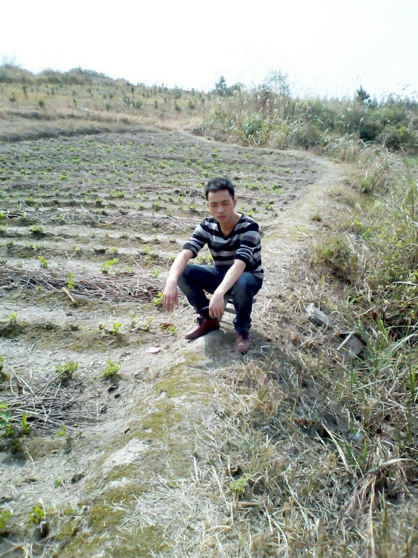 你好的第一张照片--潍坊相亲服务中心