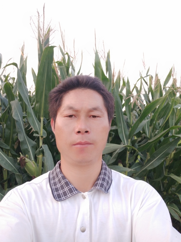 四海游龙的第二张照片--潍坊相亲服务中心