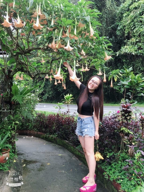 离异单身无子的第二张照片--潍坊相亲服务中心