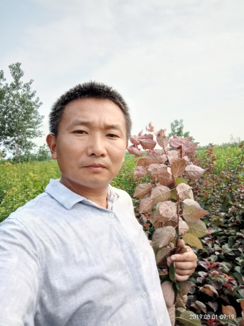 孩子爸的第一张照片--潍坊相亲服务中心