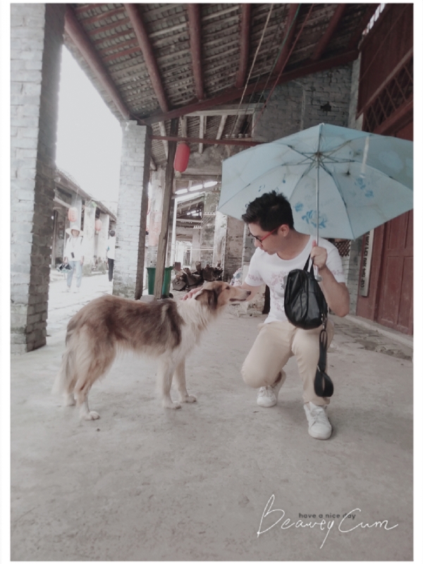 以利亚的第二张照片--潍坊相亲服务中心