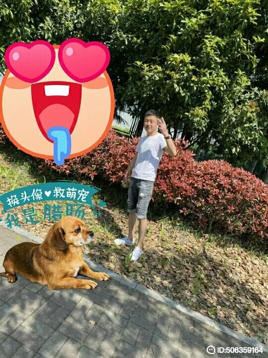 我若不坚强谁替我勇敢的第一张照片--潍坊相亲服务中心