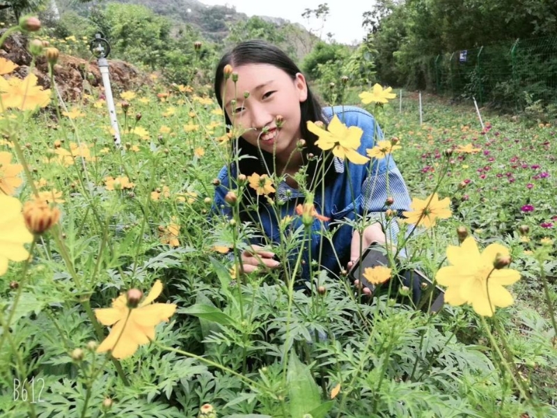 哈哈的第一张照片--潍坊相亲服务中心