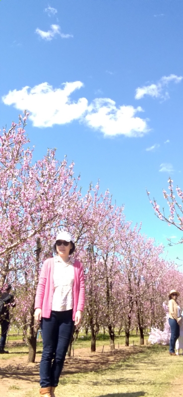 Grace的第二张照片--潍坊相亲服务中心