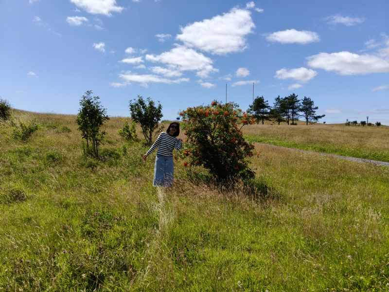 秋蝉的第一张照片--潍坊相亲服务中心