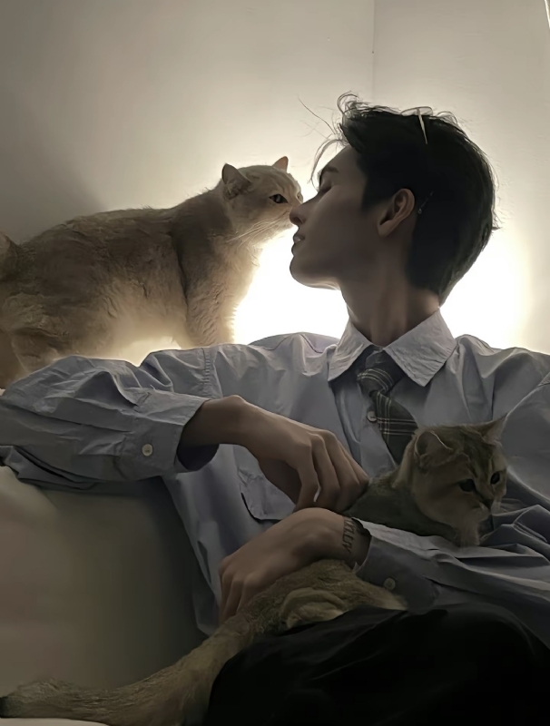 怪猫的第一张照片--潍坊相亲服务中心