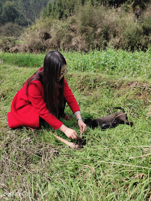 下一个春和秋的第一张照片--潍坊相亲服务中心