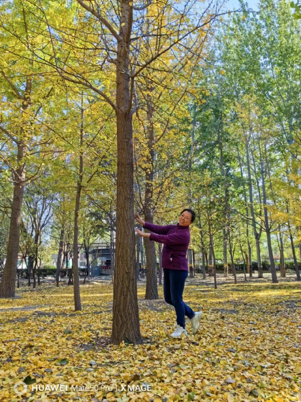 Shirley的第二张照片--潍坊相亲服务中心