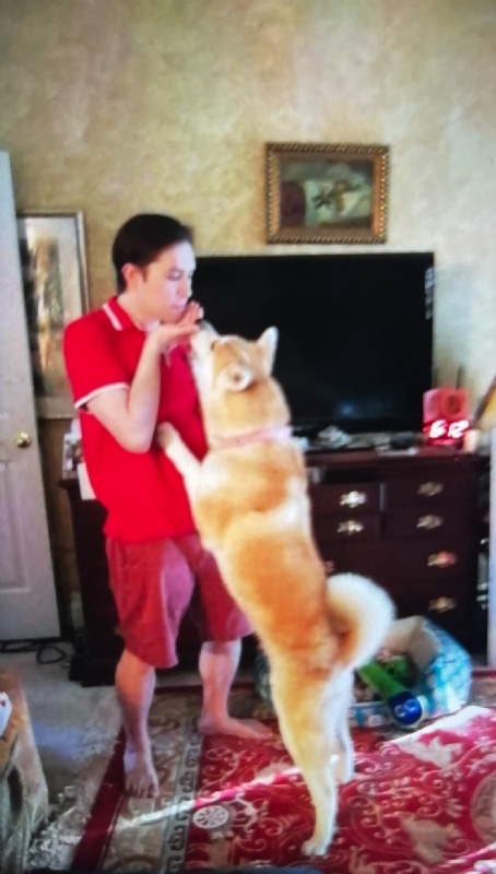 Leluch的第一张照片--潍坊相亲服务中心