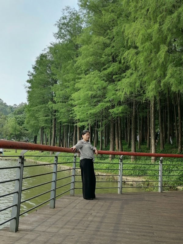 遗失的记忆的第二张照片--潍坊相亲服务中心