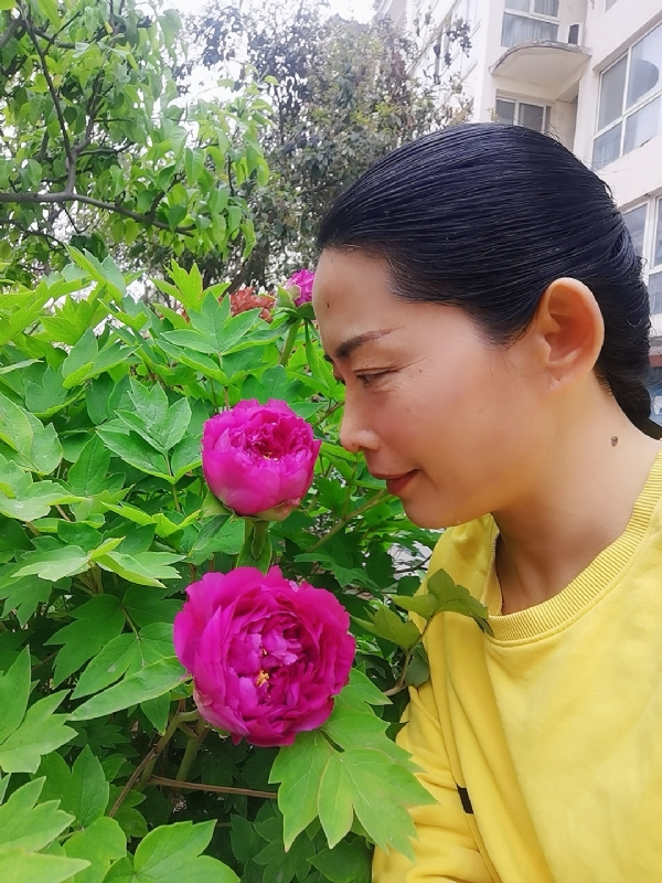 厚德载物的第一张照片--潍坊相亲服务中心