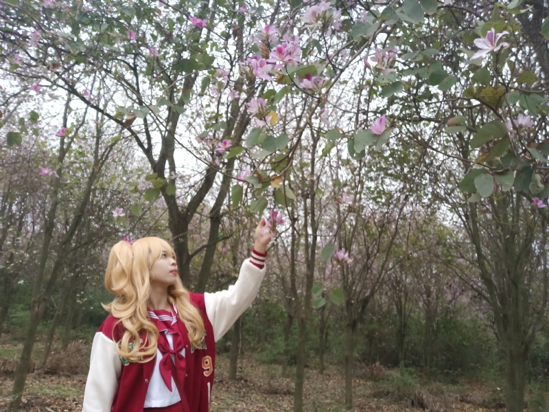 暮秋的第一张照片--潍坊相亲服务中心