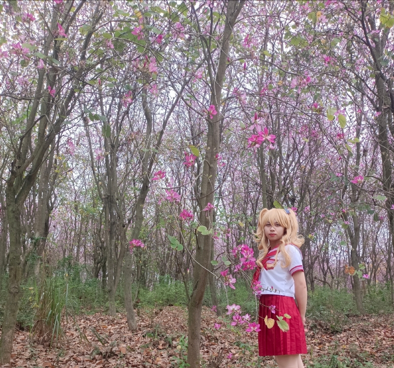 暮秋的第三张照片--潍坊相亲服务中心