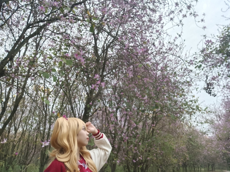 暮秋的第五张照片--潍坊相亲服务中心