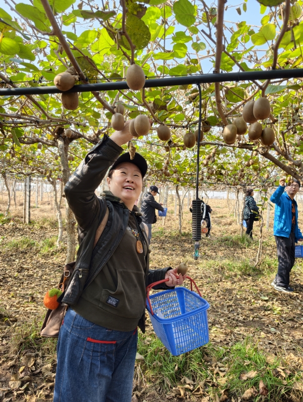 夜莺的第四张照片--潍坊相亲服务中心